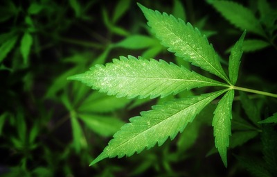 Anoniem drugsmeldpunt Vlaams-Brabant